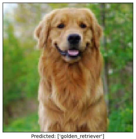 Dog Breed Classifier preview